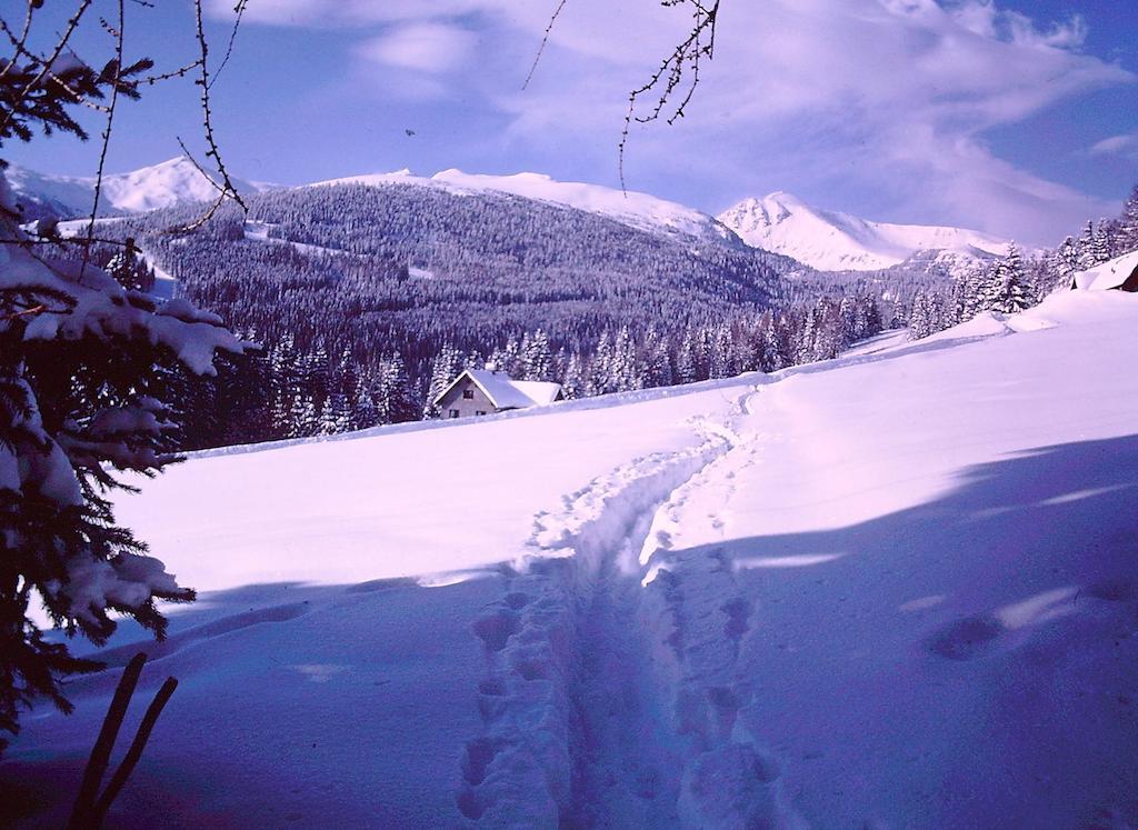 Almgasthof Judenburger Hutte Hotel Sankt Wolfgang Esterno foto