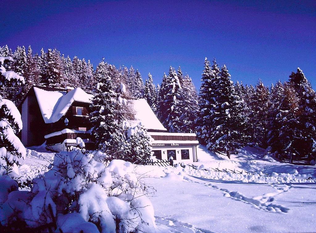Almgasthof Judenburger Hutte Hotel Sankt Wolfgang Esterno foto